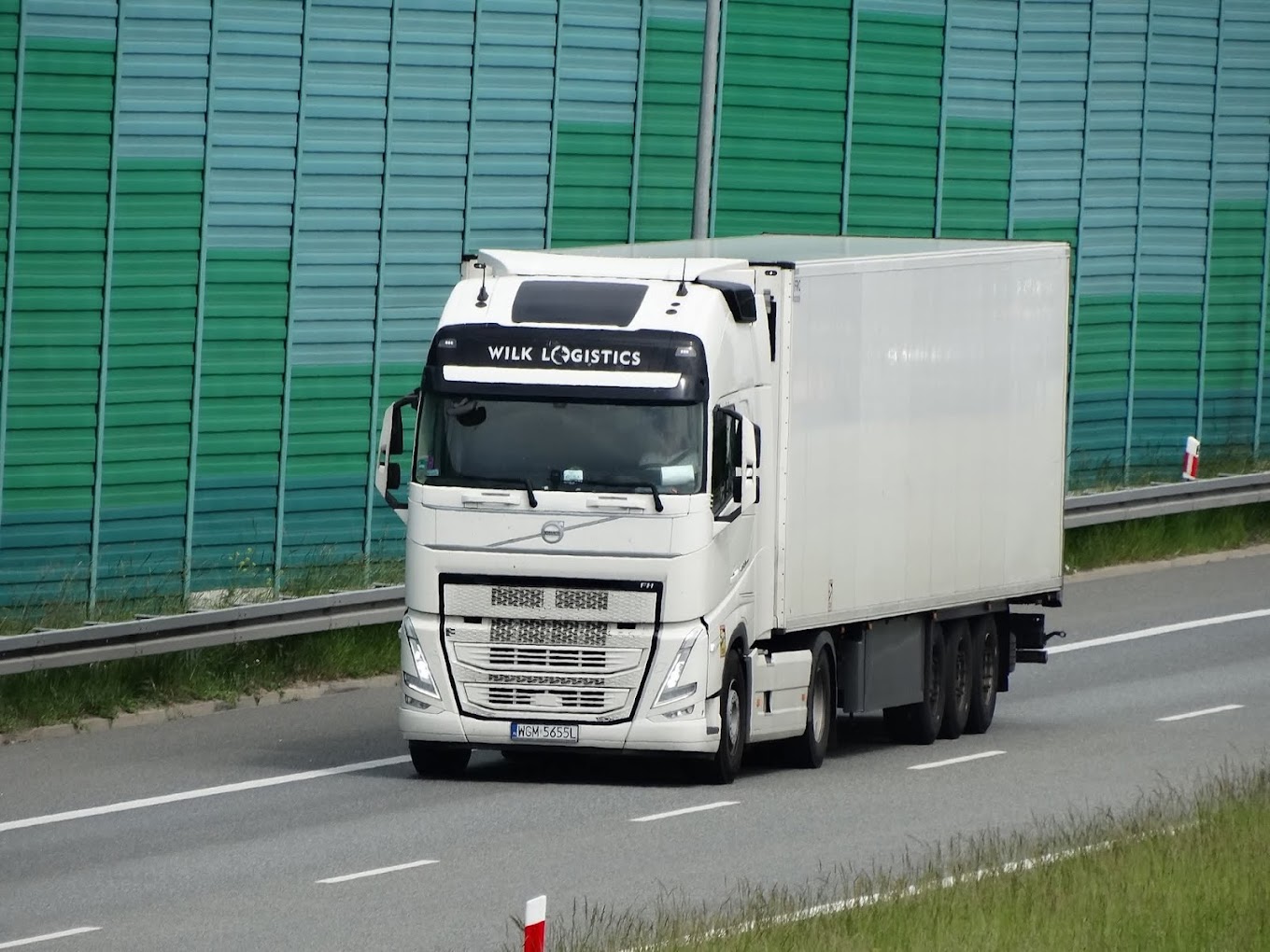Wilk Logistics — flota ciężarówek